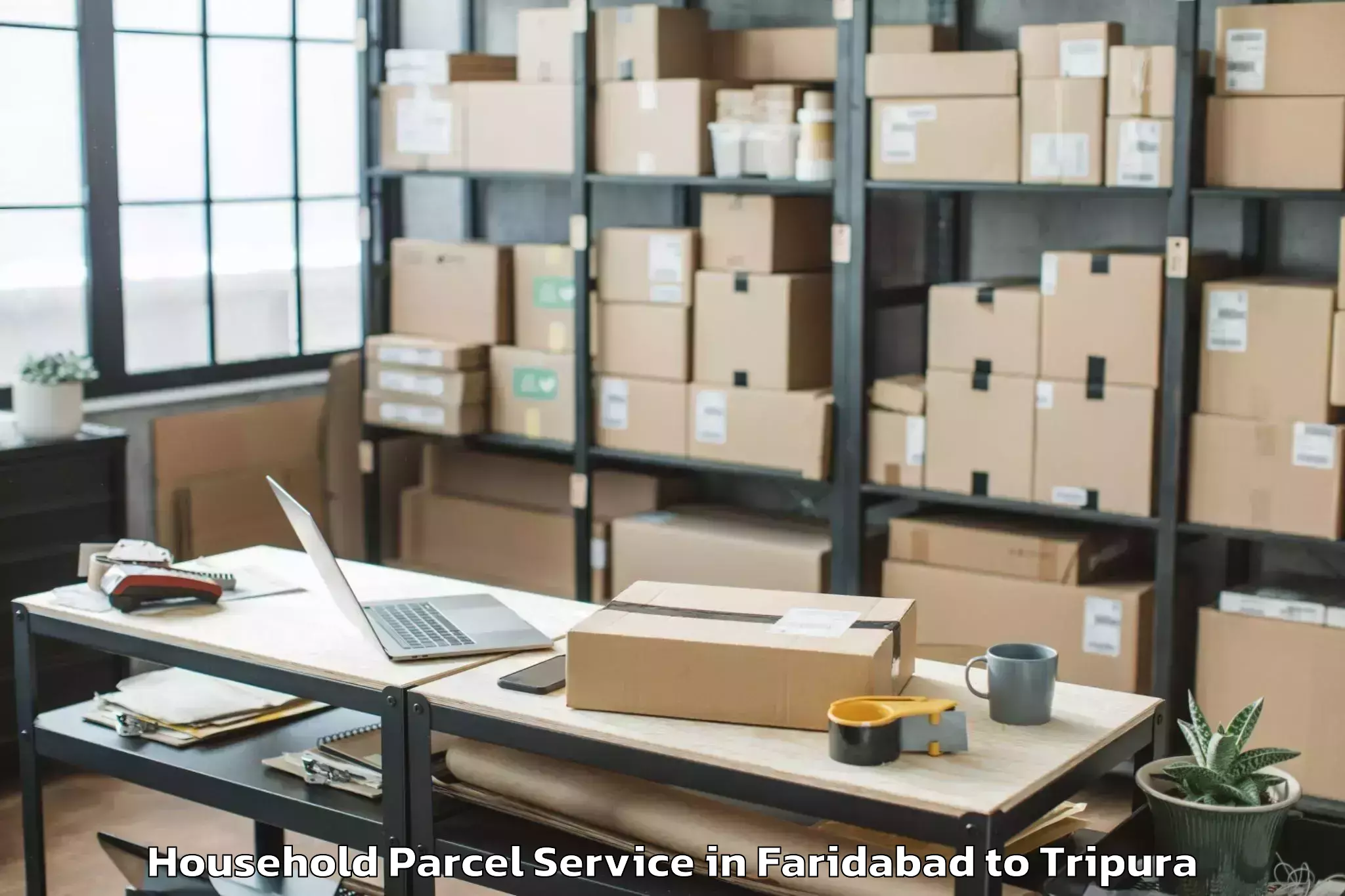 Expert Faridabad to Iiit Agartala Household Parcel